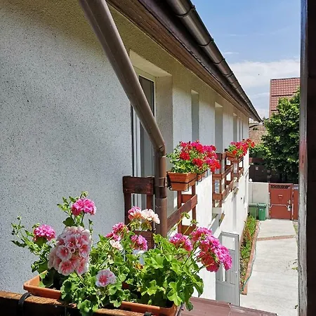 Casa With Free Parking 3* Braşov
