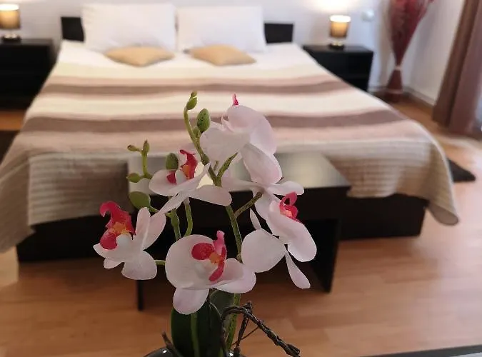 Casa Mais Brasov Guesthouse With Free Parking Гостьовий будинок 3*