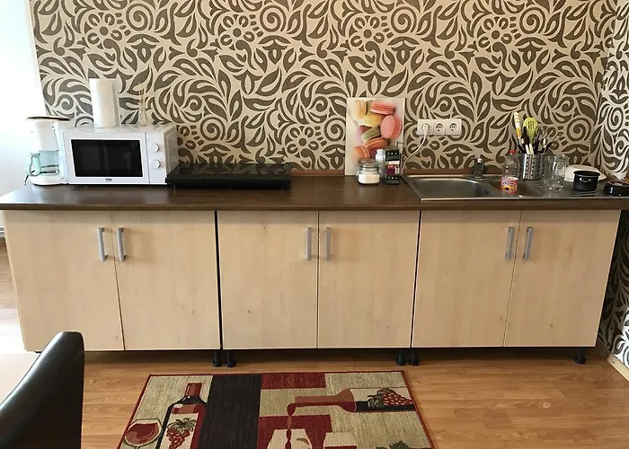 Guest house Casa Brasov