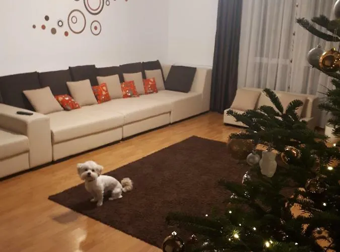 Casa Mais Brasov Guesthouse With Free Parking Гостьовий будинок 3*