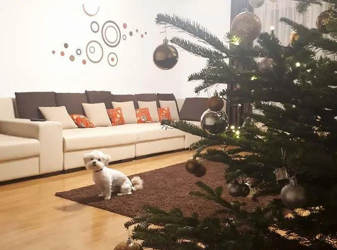 Casa Guest house Brasov